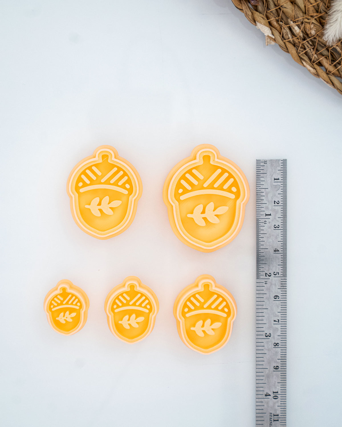 Oak Acorn clay cutters shown with a ruler or size lineup to provide a practical scale reference.